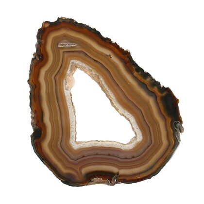 Agate Slice - Banded brown with crystal edged open centre ~ 190mm