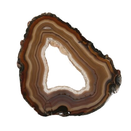 Agate Slice - Banded brown with crystal edged open centre ~190mm