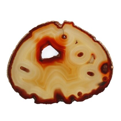 Agate Slice - Opaque with Carnelian colouration ~170mm