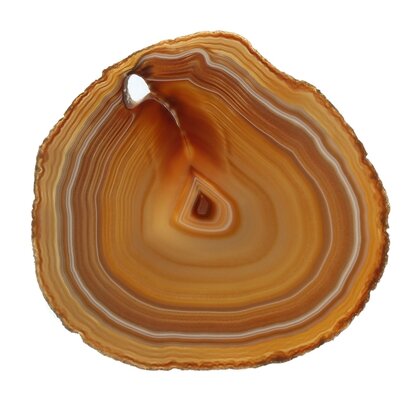 Agate Slice - Banded Honey/grey ~ 160mm