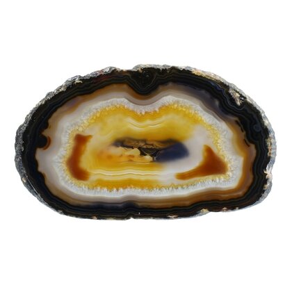 Agate Slice - Carnelian centre with grey/black banded edge ~165mm