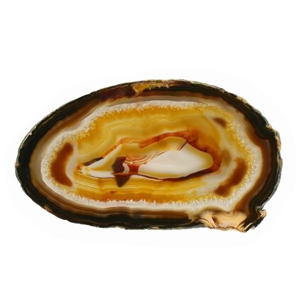 Agate Slice - Carnelian centre with banded edge ~200mm