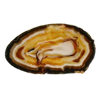 Agate Slice - Carnelian/grey centre with dark banded edge ~210mm