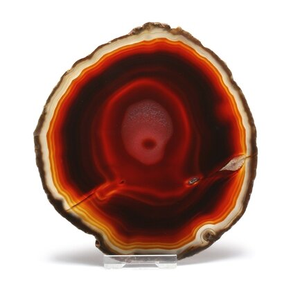 Agate Slice - Carnelian ~ 136mm