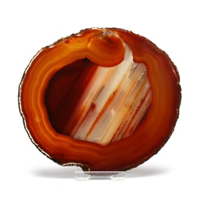 Agate Slice - Carnelian ~ 137mm