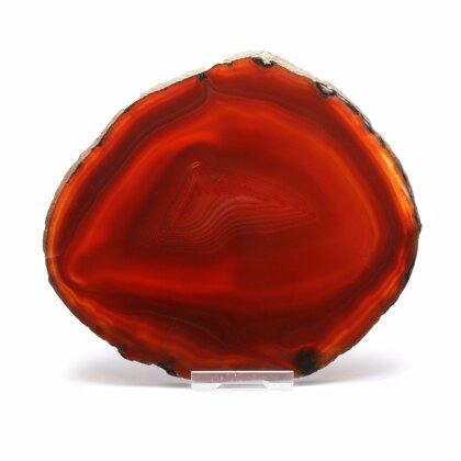 Agate Slice - Carnelian ~ 150mm