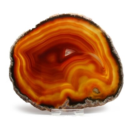 Agate Slice - Carnelian ~ 150mm