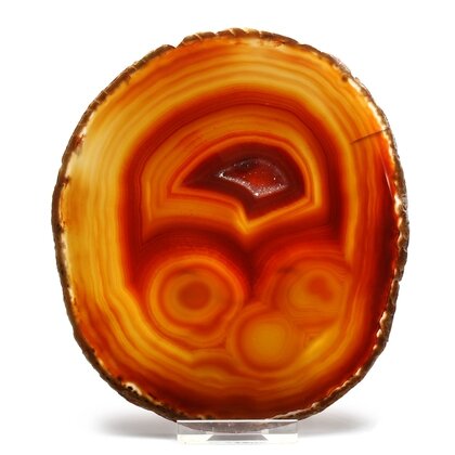 Agate Slice - Carnelian ~ 140mm