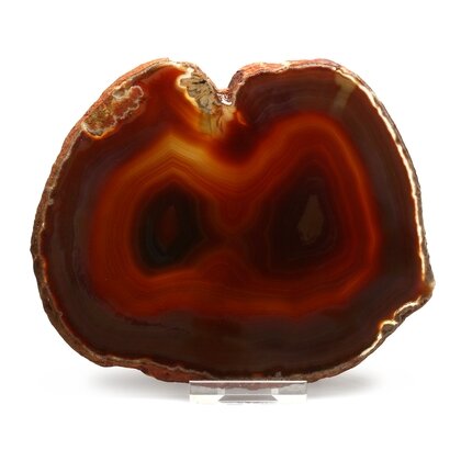 Agate Slice - Carnelian ~ 140mm