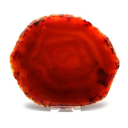 Agate Slice - Carnelian ~ 150mm