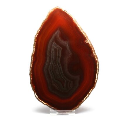 Agate Slice - Carnelian ~ 180mm