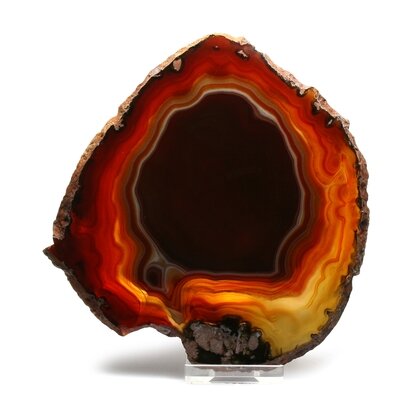 Agate Slice - Carnelian ~ 140mm
