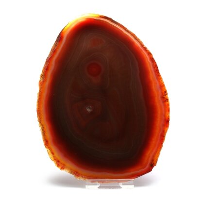 Agate Slice - Carnelian ~ 145mm