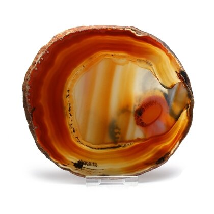 Agate Slice - Carnelian ~ 140mm
