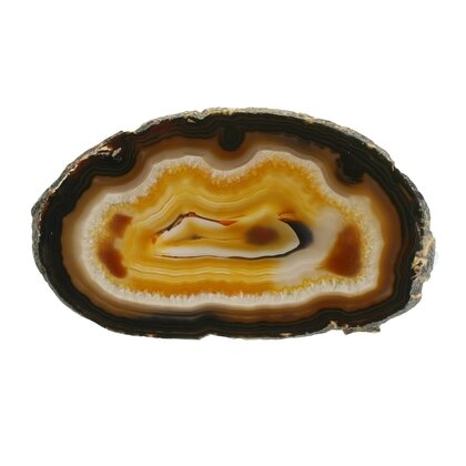 Agate Slice - Carnelian centre with banded edge ~185mm
