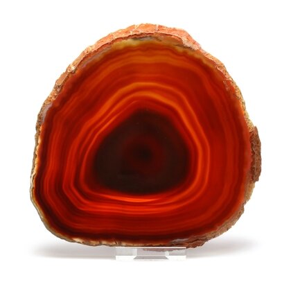 Agate Slice - Carnelian ~ 135mm