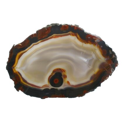 Agate Slice - Grey centre with carnelian and black edge ~380mm