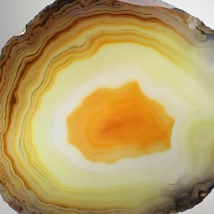 Agate Slice - Natural/Gold  ~158mm