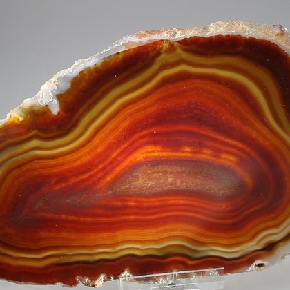 Agate Slice -  Red/Brown ~165mm