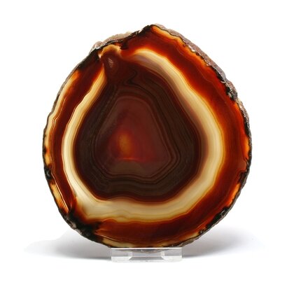 Agate Slice - Carnelian ~ 135mm