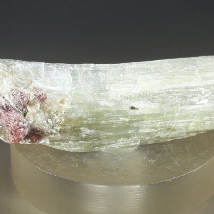 Agrellite & Eudialyte Healing Mineral ~45mm