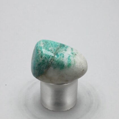 Amazonite Tumblestone  ~26mm