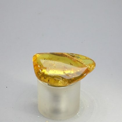 Amber Tumblestone ~31mm