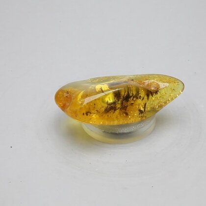 Amber Tumblestone ~31mm