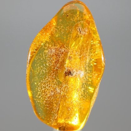 Amber Tumblestone ~32mm