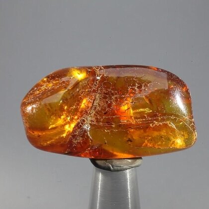 Amber Tumblestone ~37mm