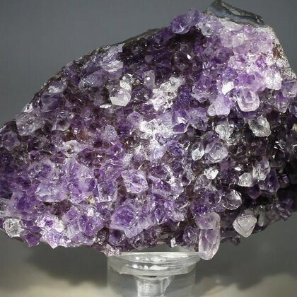 Amethyst Cluster ~97 x 65mm
