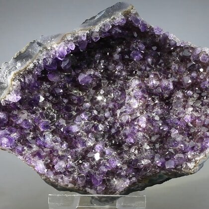 Amethyst Cluster (Uruguayan) ~125 x 85mm