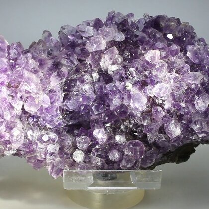 Amethyst Cluster (Uruguayan) ~135 x 65mm