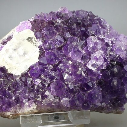 Amethyst Cluster (Uruguayan) ~95 x 60mm