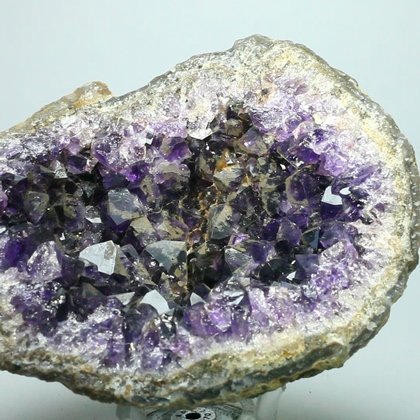 Super Grade Amethyst Cluster (Uruguayan) ~106mm