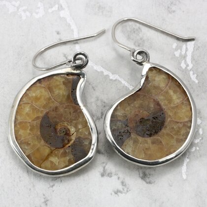 Ammonite 925 Silver Earrings  ~25mm