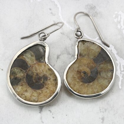 Ammonite 925 Silver Earrings  ~26mm