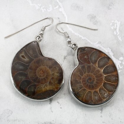 Ammonite 925 Silver Earrings  ~31mm