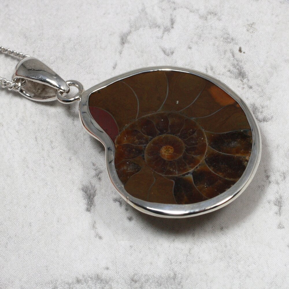 Coppia Di Fossili Di Ammonite Mini 25-30 Mm - Madagascar, Cretaceo