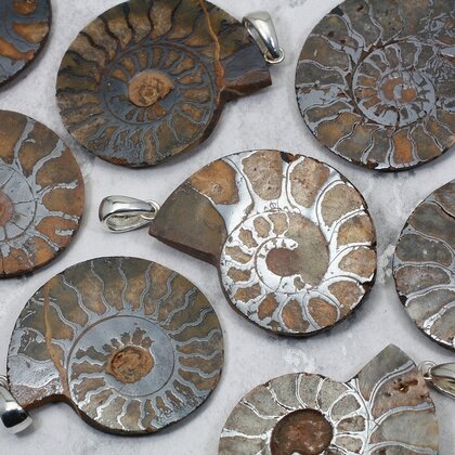 Ammonite Fossil 925 Silver Pendant ~30-35mm