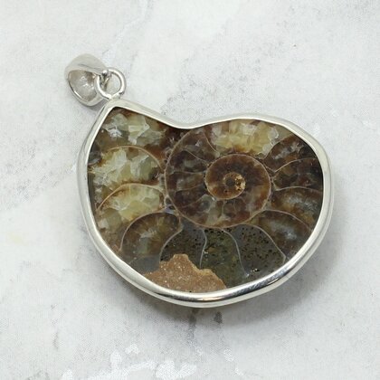 Ammonite Fossil 925 Silver Pendant ~31mm