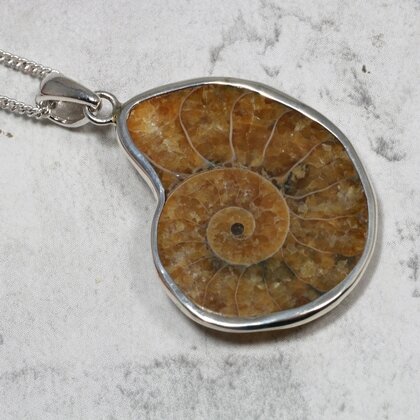 Ammonite Fossil 925 Silver Pendant ~31mm