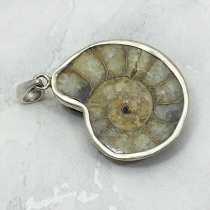 Ammonite Fossil 925 Silver Pendant ~31mm