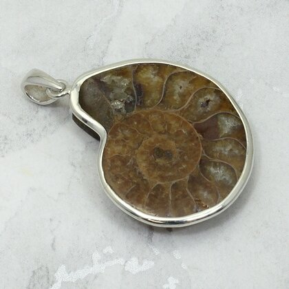 Ammonite Fossil 925 Silver Pendant ~33mm