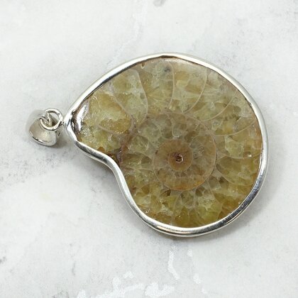 Ammonite Fossil 925 Silver Pendant ~33mm