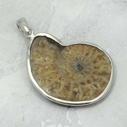 Ammonite Fossil 925 Silver Pendant ~33mm