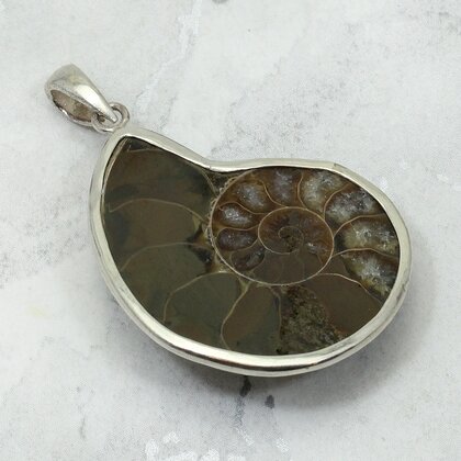 Ammonite Fossil 925 Silver Pendant ~34mm