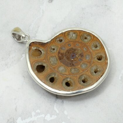 Ammonite Fossil 925 Silver Pendant ~34mm