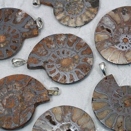 Ammonite Fossil 925 Silver Pendant ~40-45mm