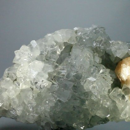 BEAUTIFUL Apophyllite Crystal Cluster ~13.5cm